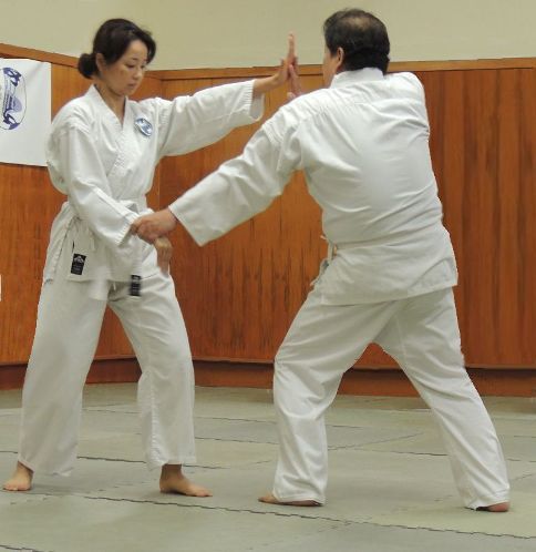 aikido working together